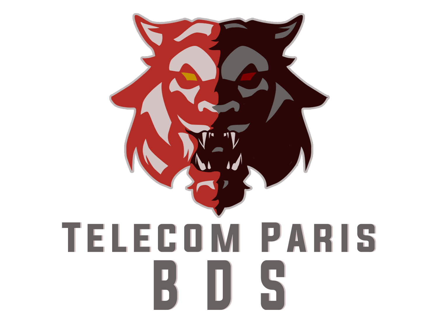 logo_bds.png